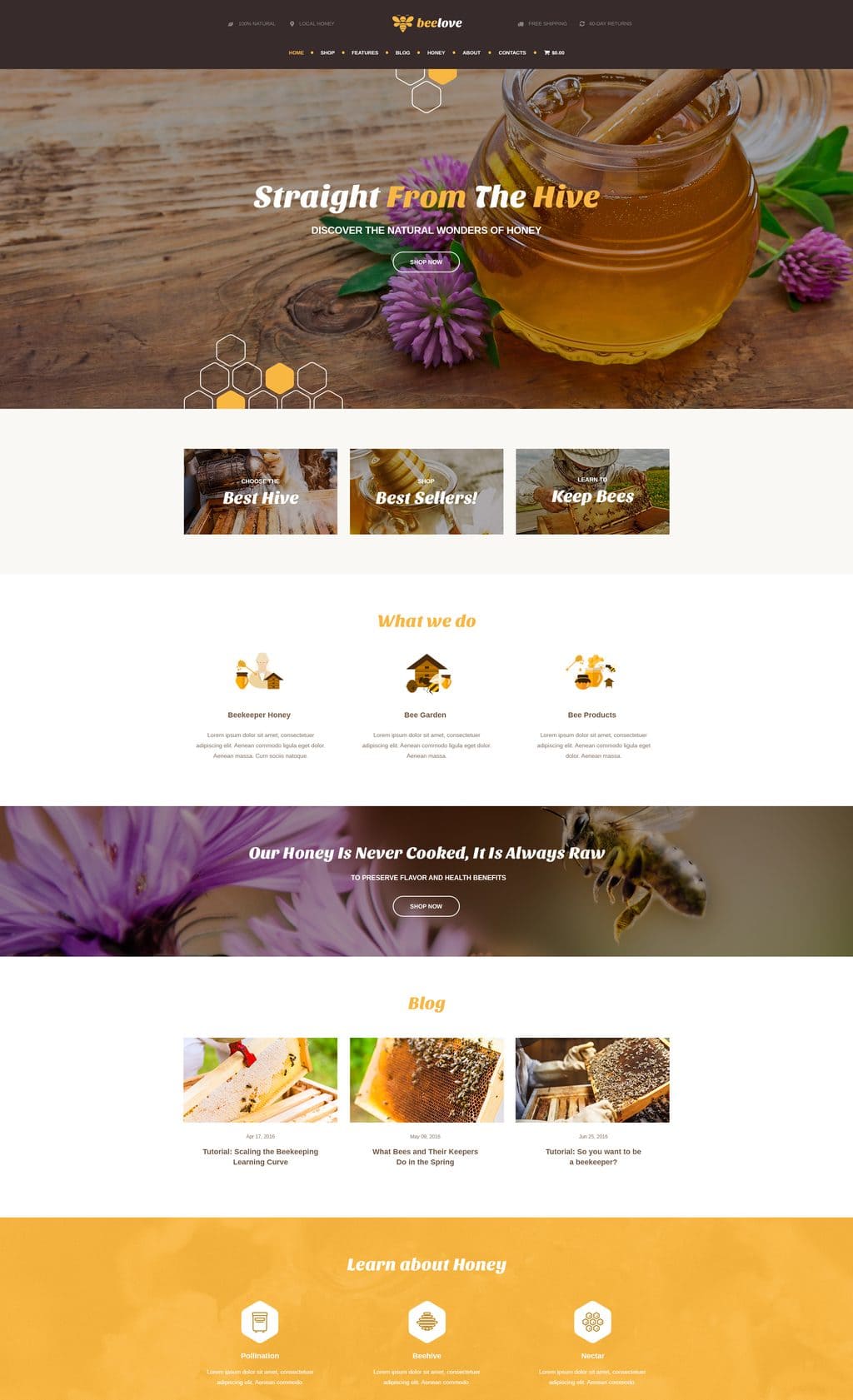 model-site-producator-5 model-site-producator-5