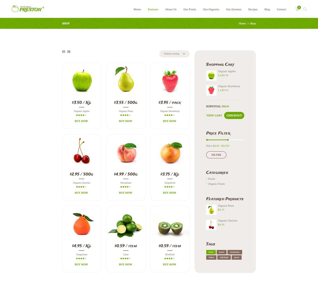 model-site-producator-6